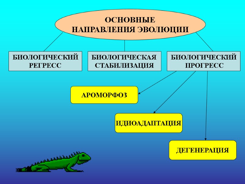 ОСНОВНЫЕ НАПРАВЛЕНИЯ ЭВОЛЮЦИИ БИОЛОГИЧЕСКИЙ РЕГРЕСС БИОЛОГИЧЕСКАЯ  СТАБИЛИЗАЦИЯ БИОЛОГИЧЕСКИЙ  ПРОГРЕСС АРОМОРФОЗ ИДИОАДАПТАЦИЯ ДЕГЕНЕРАЦИЯ